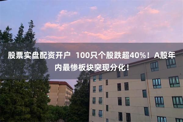 股票实盘配资开户  100只个股跌超40%！A股年内最惨板块突现分化！