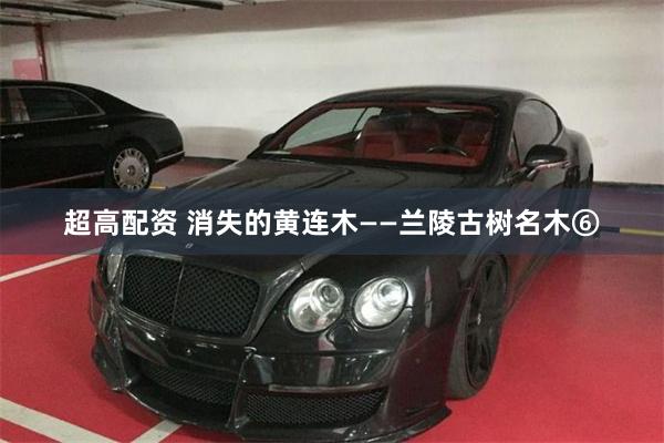 超高配资 消失的黄连木——兰陵古树名木⑥