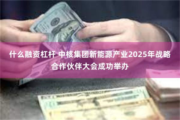 什么融资杠杆 中核集团新能源产业2025年战略合作伙伴大会成功举办