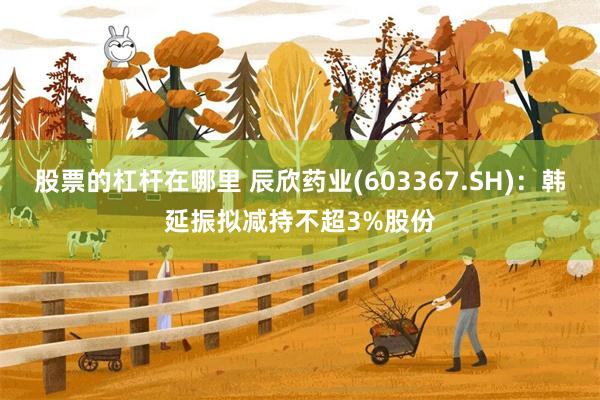 股票的杠杆在哪里 辰欣药业(603367.SH)：韩延振拟减持不超3%股份