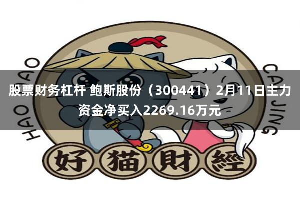 股票财务杠杆 鲍斯股份（300441）2月11日主力资金净买入2269.16万元