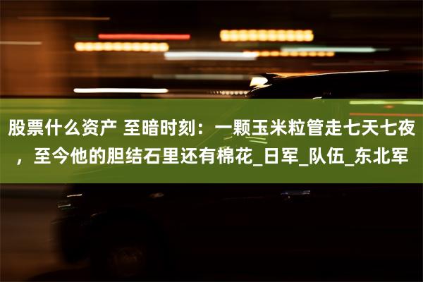 股票什么资产 至暗时刻：一颗玉米粒管走七天七夜，至今他的胆结石里还有棉花_日军_队伍_东北军