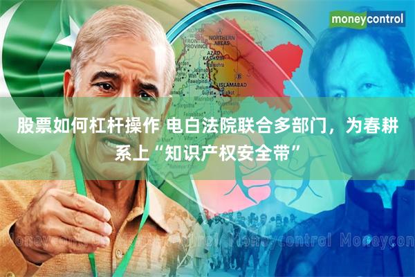 股票如何杠杆操作 电白法院联合多部门，为春耕系上“知识产权安全带”