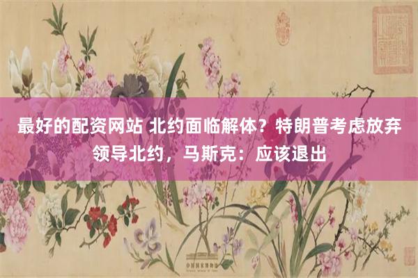 最好的配资网站 北约面临解体？特朗普考虑放弃领导北约，马斯克：应该退出