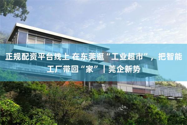正规配资平台线上 在东莞逛“工业超市”，把智能工厂带回“家”｜莞企新势