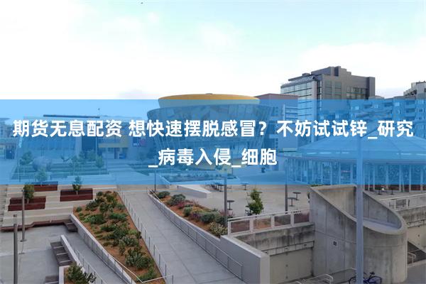 期货无息配资 想快速摆脱感冒？不妨试试锌_研究_病毒入侵_细胞