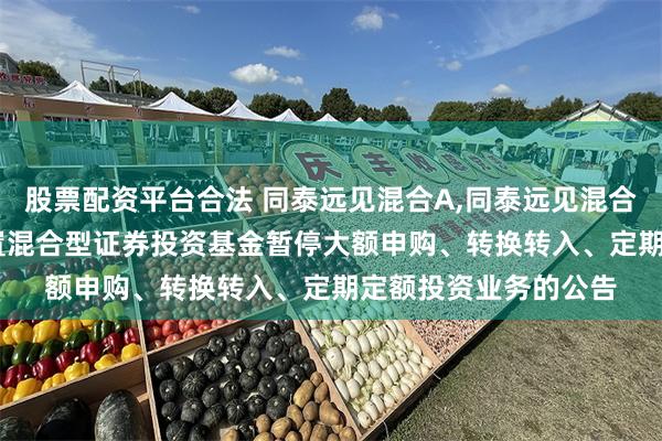 股票配资平台合法 同泰远见混合A,同泰远见混合C: 同泰远见灵活配置混合型证券投资基金暂停大额申购、转换转入、定期定额投资业务的公告