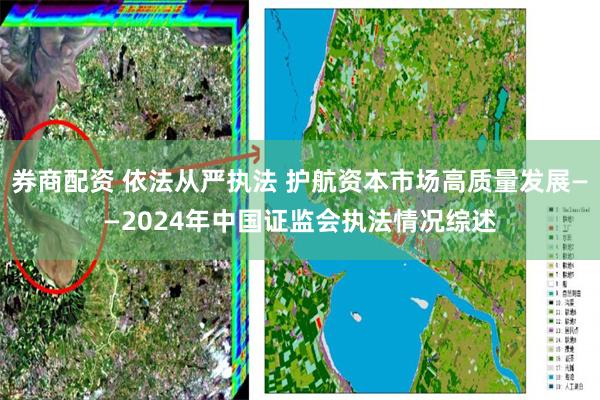 券商配资 依法从严执法 护航资本市场高质量发展——2024年中国证监会执法情况综述