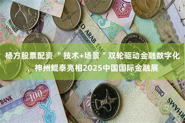 杨方股票配资 ＂技术+场景＂双轮驱动金融数字化，神州鲲泰亮相2025中国国际金融展