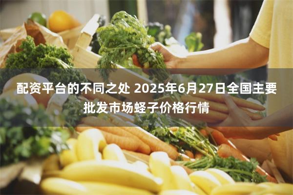 配资平台的不同之处 2025年6月27日全国主要批发市场蛏子价格行情