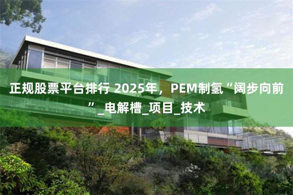 正规股票平台排行 2025年，PEM制氢“阔步向前”_电解槽_项目_技术