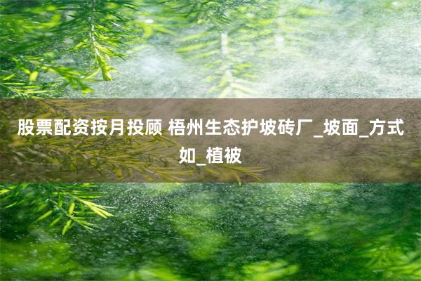 股票配资按月投顾 梧州生态护坡砖厂_坡面_方式如_植被